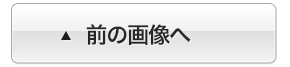前の画像へ